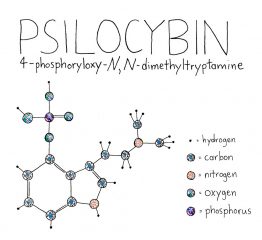 Psilocybin 