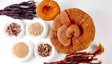 Reishi: Mushroom of Immortality