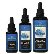 chaga magic mushroom