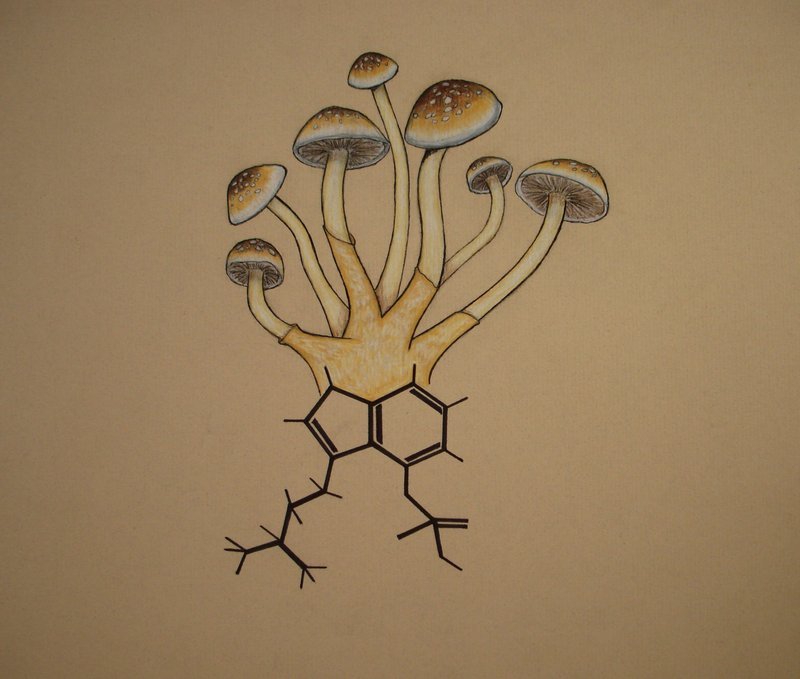 Psilocybin
