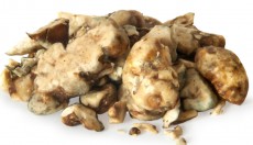 5 things you need to know about Magic Truffles!