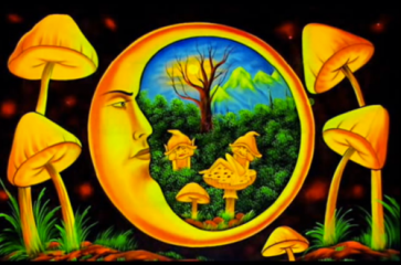 Magic Mushroom Dosage Guide!