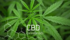 5 easy ways for CBD Consumption