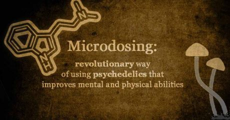 psilocybin microdosing