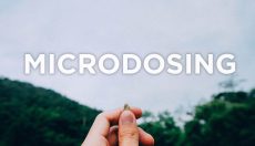 Psilocybin Microdosing User Guide