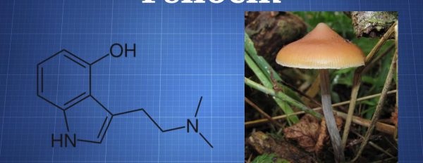 Fast Facts: Psilocin and Psilocybin