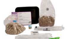 5 ways you will benefit from grow kits without mycelium