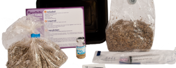 5 ways you will benefit from grow kits without mycelium