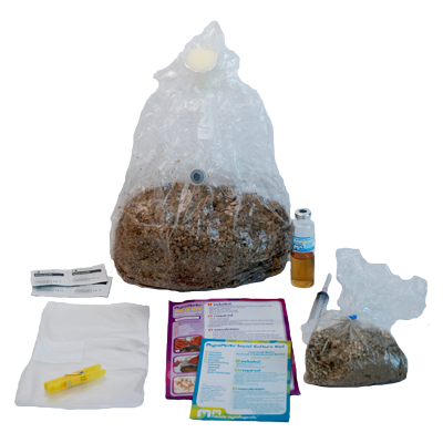 kilo kit grow kits without mycelium