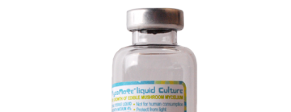 How to make liquid culture? - Instruction Guide