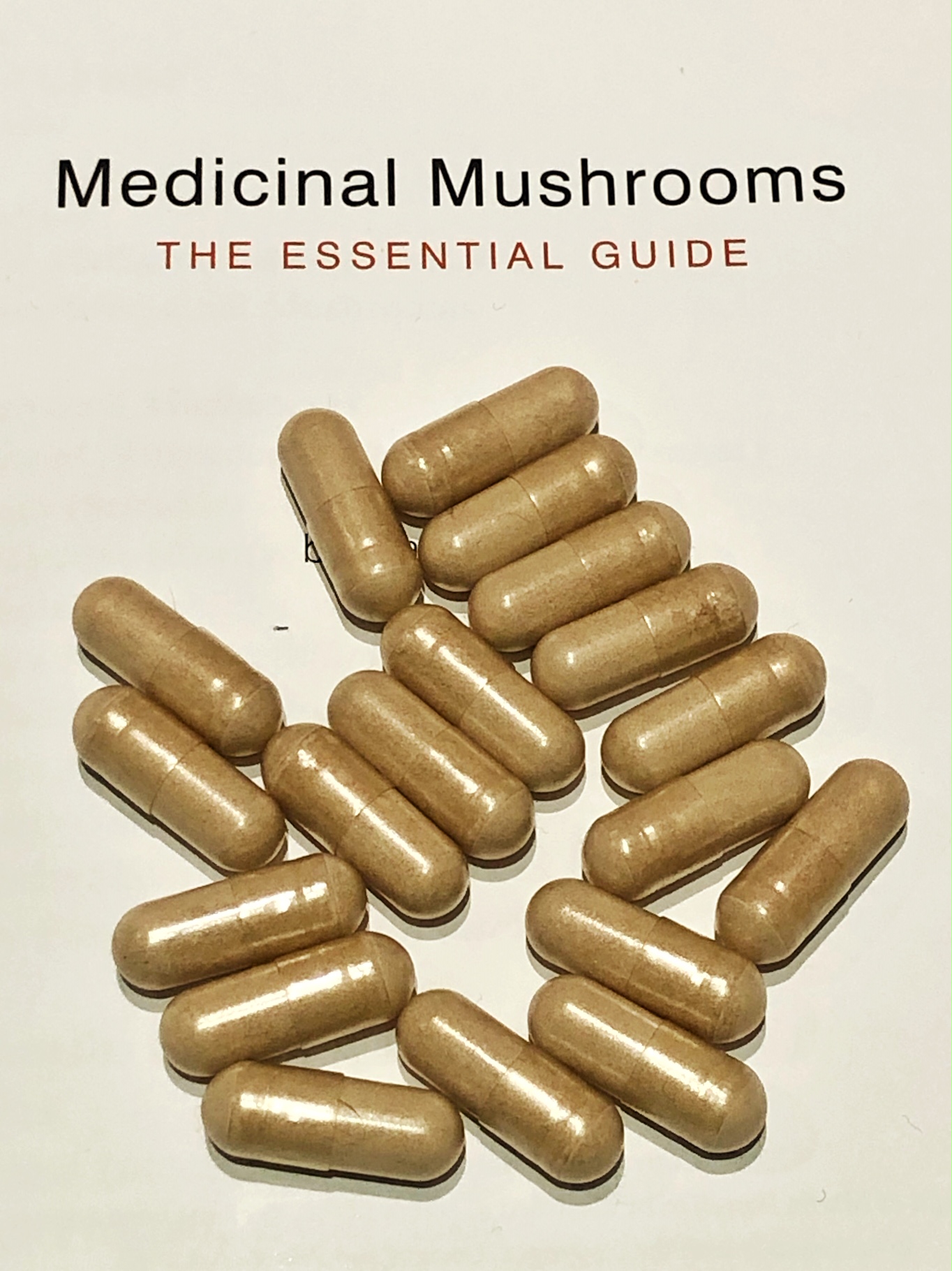 Medicinal Mushrooms