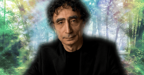 Psychedelic Profiles: Gabor Maté