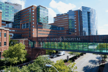 Psilocybin vs. Nicotine Patch: Johns Hopkins Study Shows Magic Mushrooms Are 6x More Effective for Quitting Smoking