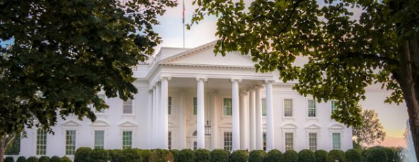 Trump's Psychedelics Executive Order: What It Means for Magic Mushrooms and Mental Health (2026)