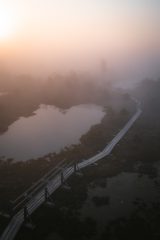 DJ Young Slade: What Psilocybin Near Water Means for Safety