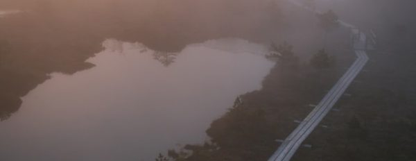 DJ Young Slade: What Psilocybin Near Water Means for Safety