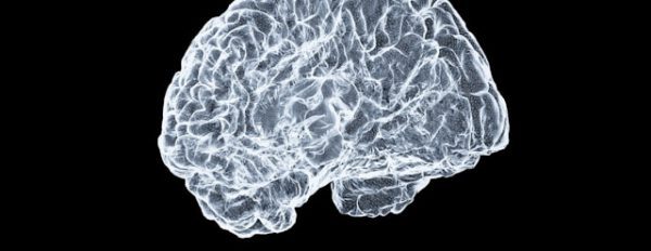 What All Psychedelics Have in Common — The Largest Brain Study Ever