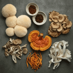 Functional Mushroom Research 2026: Turkey Tail, Lion's Mane and What the New Science Shows