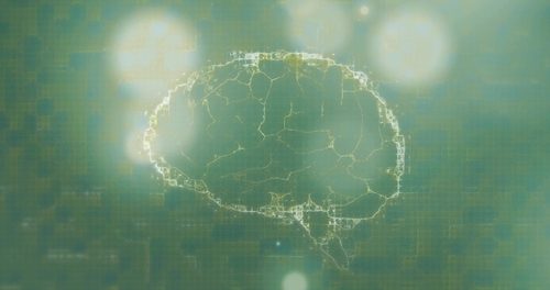 psilocybin microdosing neuroplasticity — new neural connections in the brain